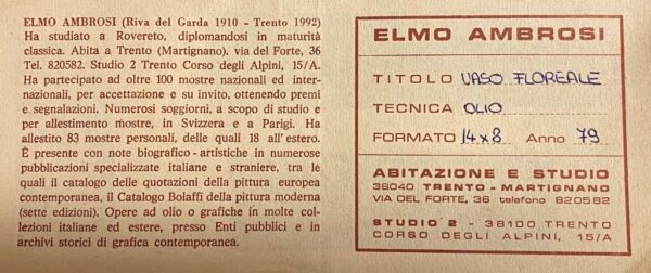 elmo ambrosi