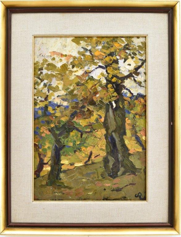 camillo rasmo