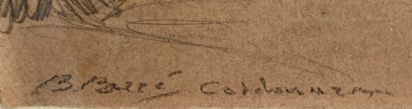 bartolomeo bezzi