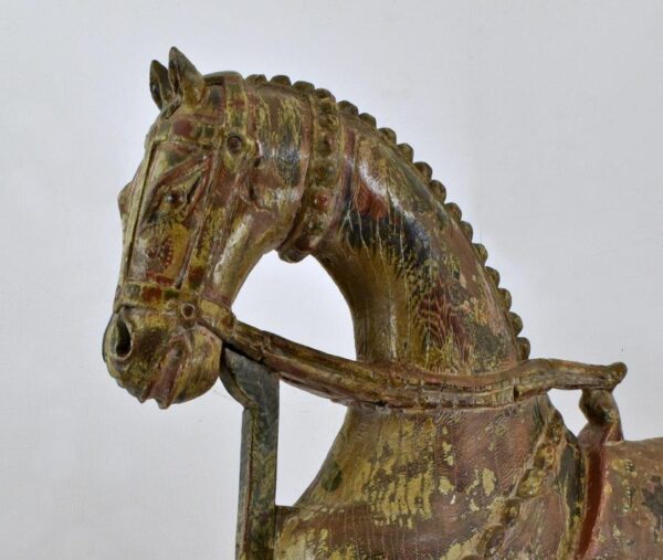 cavallo asia