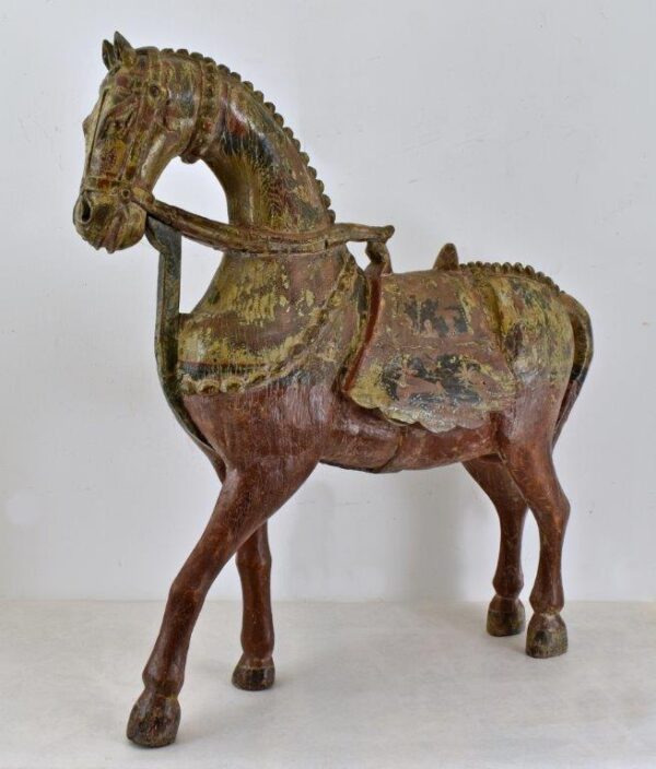 cavallo asia
