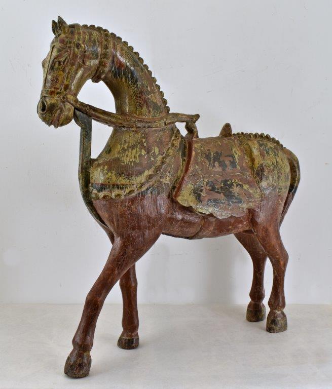 cavallo asia