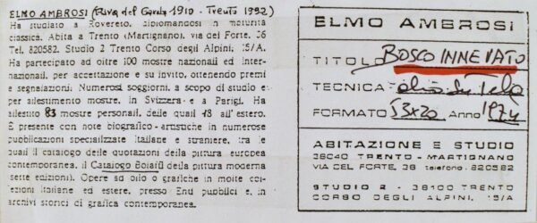 elmo ambrosi